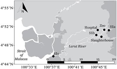 Prevalence and Diversity of Antibiotic Resistant Escherichia coli From Anthropogenic-Impacted Larut River